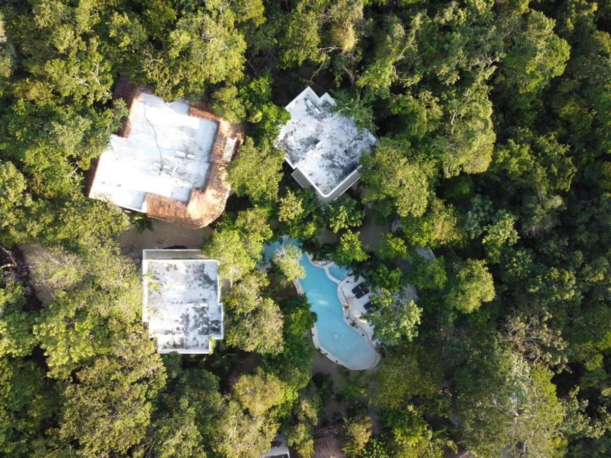 Cachito De Cielo Luxury Jungle Lodge トゥルム エクステリア 写真